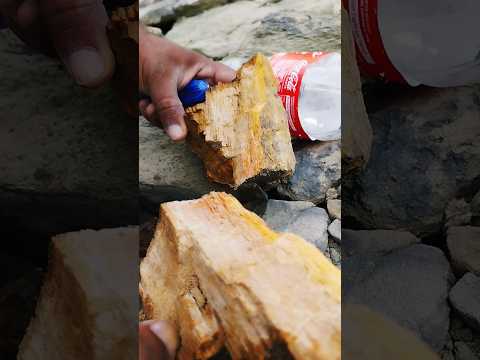Thumbnail for Cracking the Code: Breaking Down the Rare Woody Rock #gems #shorts #trending by Woody Rock