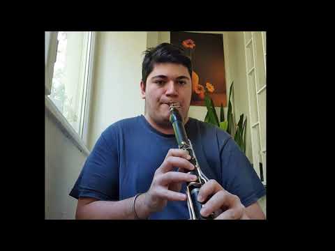 Berke Altıparmak - Hicazdan Hüzzama Klarnet Geçiş Taksimi