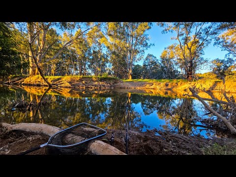 AWESOME Fishing: I Caught 6 Fish, Made Up Of 6 Different Species