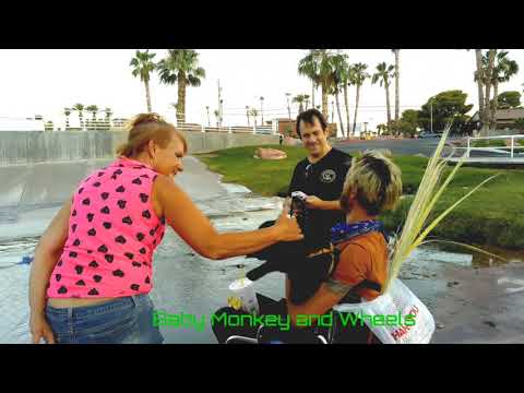 Episode 10: Street Dogz/Holy Smoke Vegas - YouTube digital series