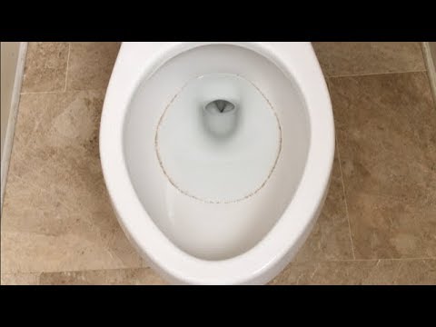 Recurring Toilet Ring - Top 3 Solutions tested - Problem Solved