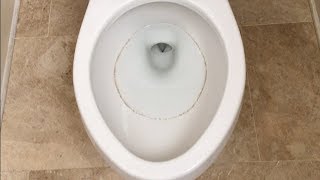 Recurring Toilet Ring - Top 3 Solutions tested - Problem Solved