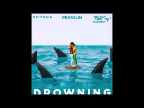Franklin x Digital Farm Animals x Sorana - Drowning