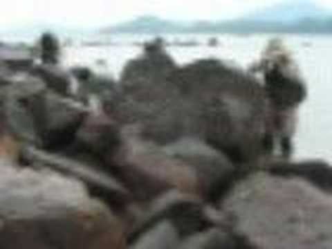 Paintball (Real Action marker --RAM) in Water?