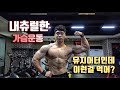 [Vlog]다들 내일 가슴 운동해야지? 보기만 해도 가슴이 커지는 프로보디빌더의 유지어터브이로그