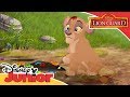The Lion Guard On Safari With Grubs Official Disney Junior Africa