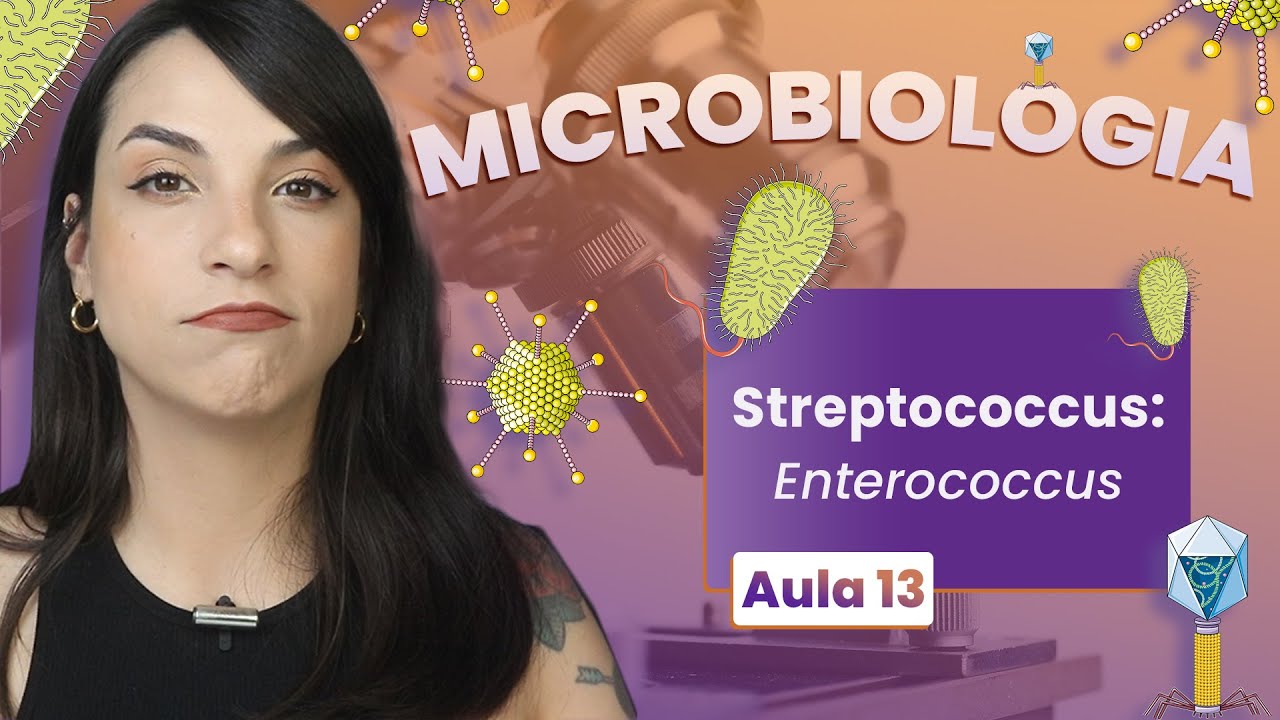 STREPTOCOCCUS: Enterococcus faecalis e faecium | Videoaula | Microbiologia | Flavonoide #13