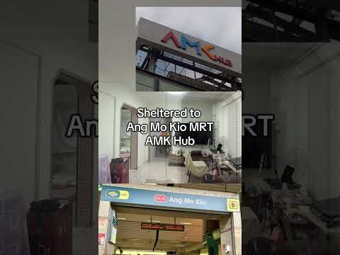 504 Ang Mo Kio Avenue 8, 504 Ang Mo Kio Avenue 8, 2 Bedrooms, 732 sqft, HDB Flat For Rent, by Thaddeus Zheng, 500086013 - PropertyGuru.com.sg