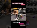 Big Biceps workout /Spider curl