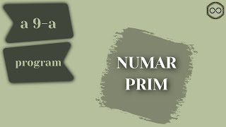 Numar Prim - Divizibilitate - Algoritmi Elementari - Program C++ - Clasa a 9-a