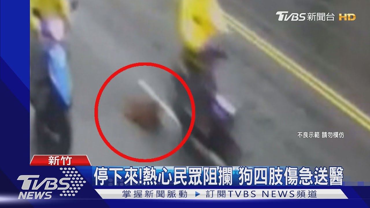 惡劣!狗被綁在機車高速拖行 男遭阻竟稱牠會咬人