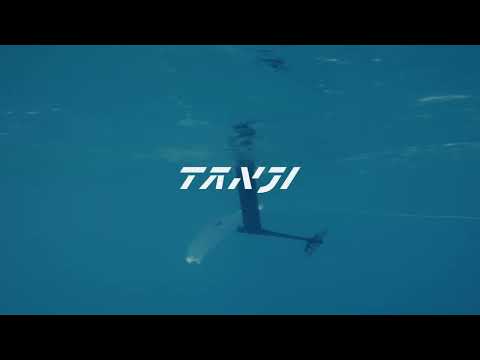 Takuma's shorts - Tanji foil wing