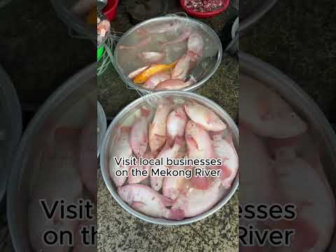 Thumbnail for Discover why Vietnam is a must-visit destination in Southeast Asia! 🌏✨  #travel #vietnam #cruise