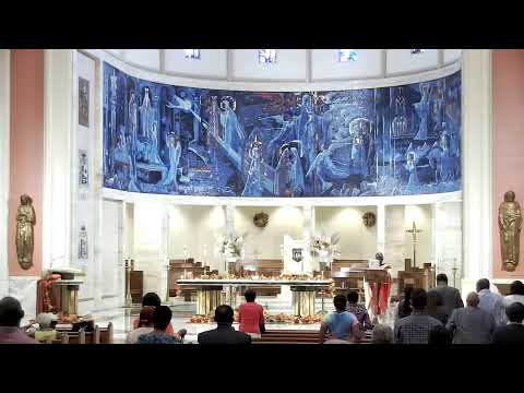 Transmissão ao vivo da Catedral de Santa Maria