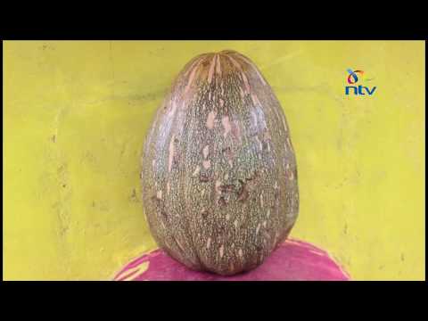, title : 'Murang’a farmer sets up mill to grind pumpkins into flour'