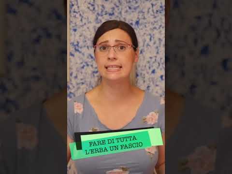 LEARN ITALIAN 🇮🇹 The meaning of FARE DI TUTTA L'ERBA UN FASCIO #shorts
