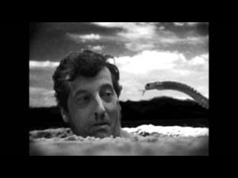 Guadalupe plata - Pollo podrio @ Wurlitzer Ballroom (FOLC Weekend)