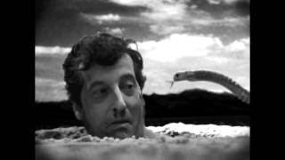 Guadalupe plata - Pollo podrio @ Wurlitzer Ballroom (FOLC Weekend)