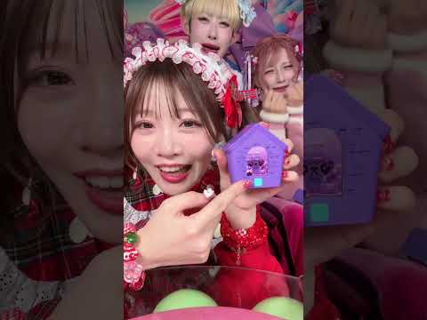 可愛すぎて毎日の癒しだよ〜🐶💭💗💗💗#PR #わんだーはうす #DOGHOUSE