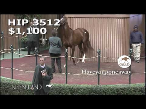 Haveyougoneaway at the Keeneland November Breeding Stock Sale