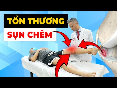 Hãy Coi Chừng! Tổn Thương Sụn Chêm Có Thể Làm Hỏng Cả Đời Sống Của Bạn