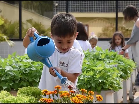 download lagu mp3 mp4 Cjsp, download lagu Cjsp gratis, unduh video klip Cjsp