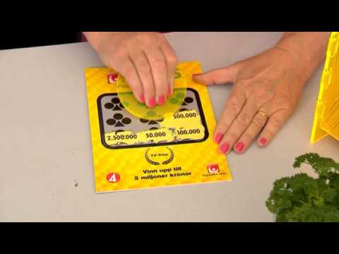 Triss: Agneta från Skutskär skrapar - Nyhetsmorgon (TV4)