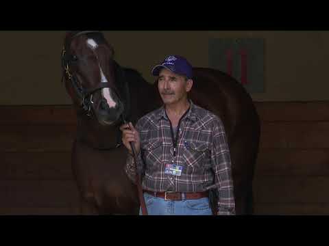 2022 TIEA - Meet the Finalists