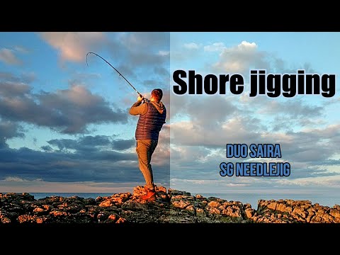 Shore Jigging - Atlantic Bonitos - Saira & Needlejig