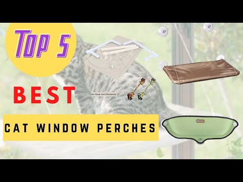 Which Is The Best Cat Window Perches To Buy