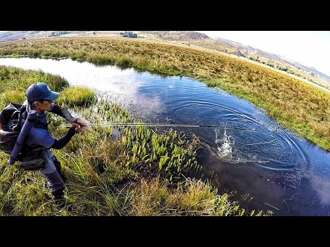 Spring Creek Patagonia - Fly Fishing