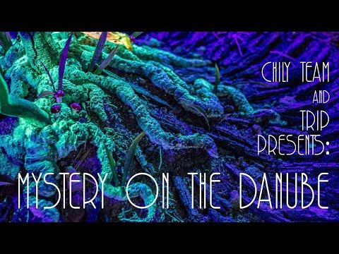 Chily Team & TRIP present: Mystery On the Danube