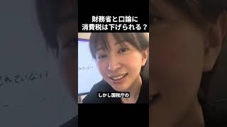 ※拡散してください。財務省を完全論破！消費税は絶対に下げられる【さとうさおり】