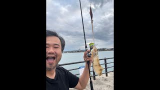 イカ釣りくん
