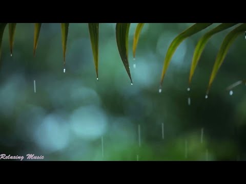 12 hours Relaxing Music & Rain Sounds - Beautiful Piano Music, Background Music, Sleep Music 12