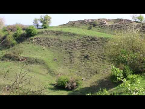 Frühlings-Schlüsselblume in der Doline Rockensüß. Ein Film von Arno Werner