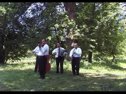 Ceteraş de pe Câmpie