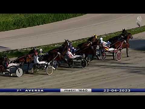 Aversa trotto 22 Aprile 2023 - 7° Corsa