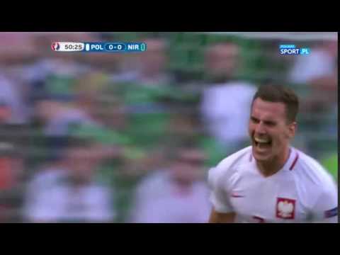 POLSKA IRLANDIA - GOL 12.06.2016