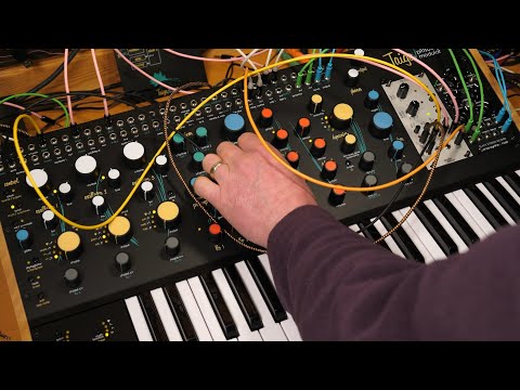 Pittsburgh Modular Taiga Keys - 3 Oscillator Movement