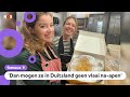 Moet de Limburgse vlaai worden beschermd? ?