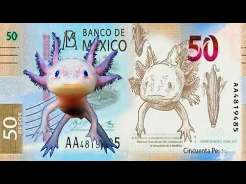 The World's Coolest Banknotes You Need To See