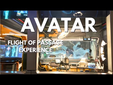 4K Disney World Flight of Passage Ride Experience, Animal Kingdom's Pandora – The World of Avatar