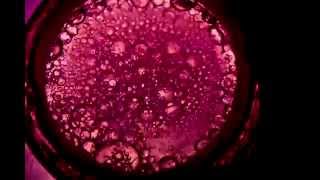 Download lagu Rogol - Contamination Zone (Sample) mp3 Download lagu Rogol - Contamination Zone (Sample) mp3