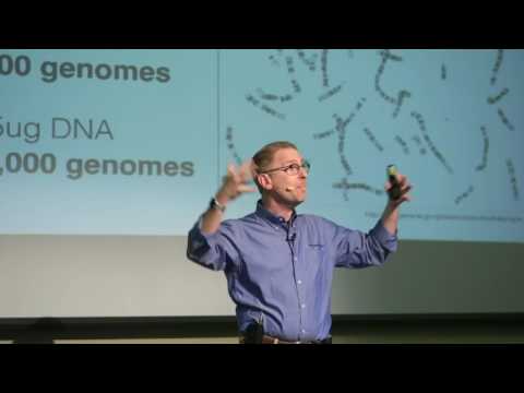 2017 Biotech 201 Session 1 - What's in a genome? -paternity, forensic & ancestry testing