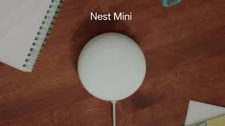 Google Nest Mini