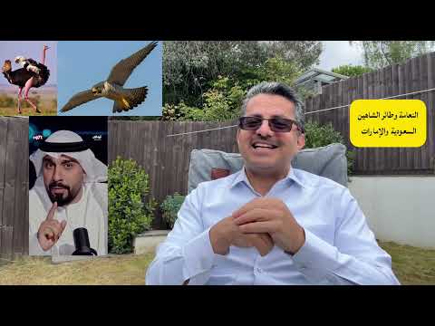 Yemeni Windows Media