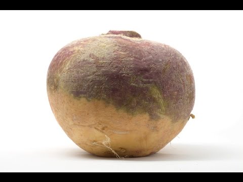 download lagu mp3 mp4 Rutabaga Vs Navet, download lagu Rutabaga Vs Navet gratis, unduh video klip Rutabaga Vs Navet