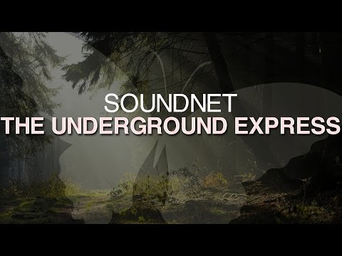 SoundNet - The Underground Express [Every Day Matters]