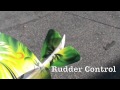RC Skybird By Wild Creations